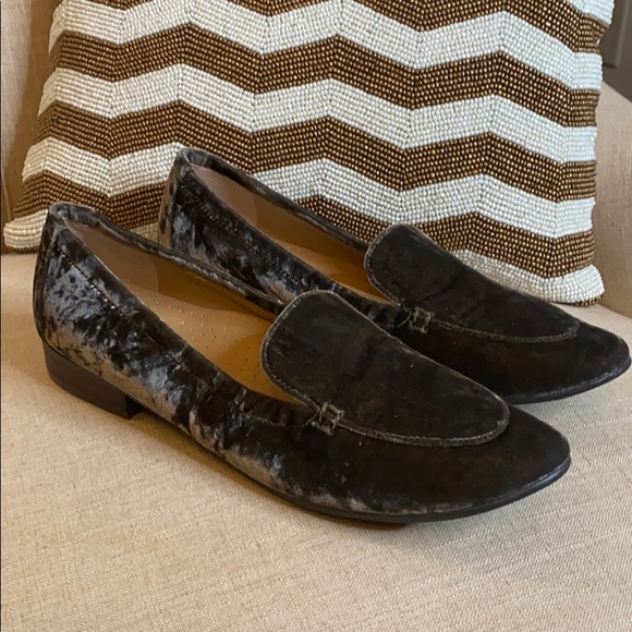 Vaneli Shoes - Van Eli Velvet Shoes